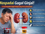 Waspadai ciri penyakit gagal ginjal