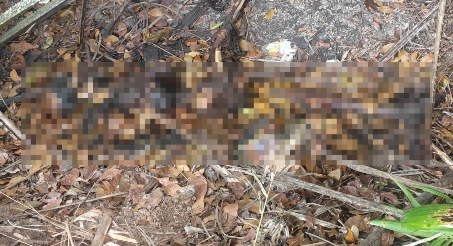 Jatanras Polda Sumsel Temukan Jenazah Lansia yang Dilaporkan Hilang di Banyuasin, Kondisinya Mengerikan