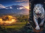 Misteri Gunung Raung: kemegahan alam berpadu legenda Kerajaan Macan Putih yang dipercaya masih menjaga puncak sakral Jawa Timur.