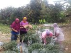 Perempuan Desa Tanjung Karangan yang tergabung dalam KWT Utun Makmur binaan PT Bukit Asam Tbk memanfaatkan pekarangan rumah untuk budidaya sayuran melalui Program EcoGrow Mom.