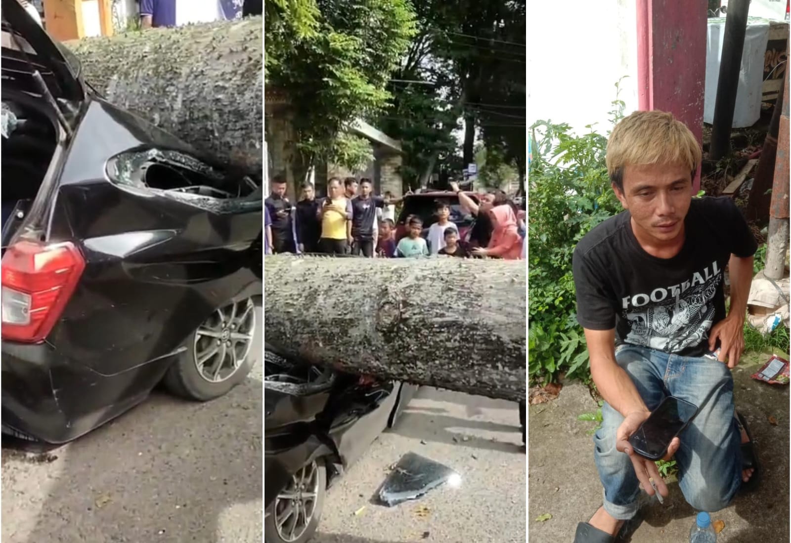 Detik-detik Pohon Raksasa Tumbang di Palembang, Mobil Driver Taksi Online Ringsek Parah
