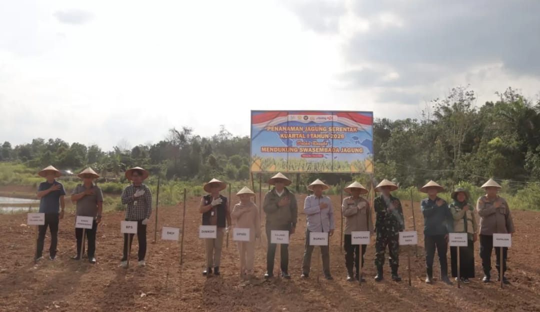 Wakapolres PALI Kompol Kusyanto SH bersama unsur Forkopimda dan Dinas Pertanian melakukan penanaman jagung serentak di lahan pertanian kawasan Guci, Talang Ubi Selatan.