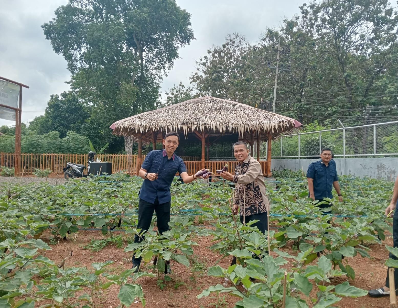 Optimalkan Pemanfaatan Lahan, Rutan Palembang Bekali Warga Binaan Tanam Terong