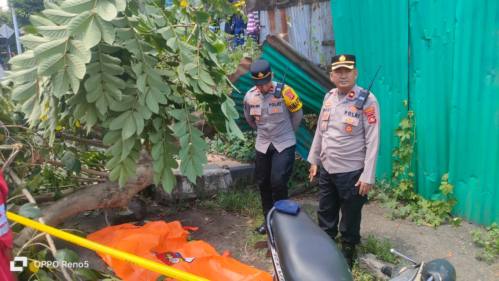 Pengemudi Ojol Tewas Tertimpa Pohon Tumbang di Depan Kantor Samsat Palembang ⠀