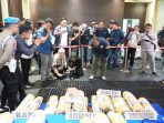 Polda Sumsel Amankan 220 Kg Ganja Kering Siap Edar dari Hutan Bukit Barisan Empat Lawang ⠀