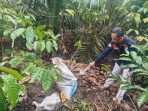 Tragedi di Kebun Kopi, Terduga Pelaku Pencurian Tewas Diamuk Massa ⠀