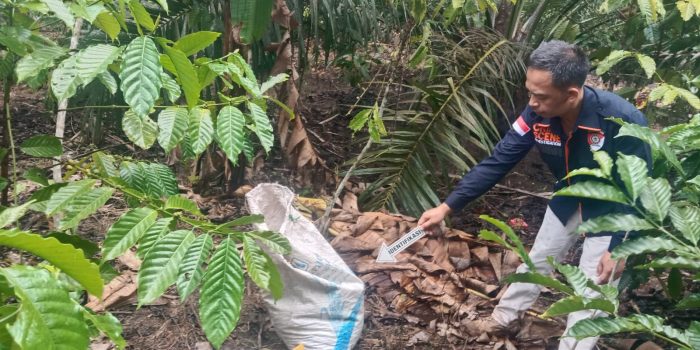 Tragedi di Kebun Kopi, Terduga Pelaku Pencurian Tewas Diamuk Massa ⠀